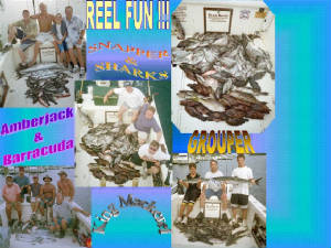 reelfunpicspagecollage.jpg